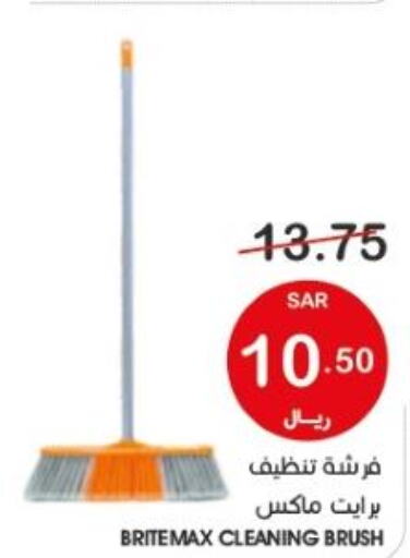  Cleaning Aid  in Mazaya in KSA, Saudi Arabia, Saudi - Qatif