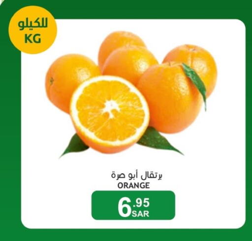  Orange  in  مـزايــا in مملكة العربية السعودية, السعودية, سعودية - القطيف‎