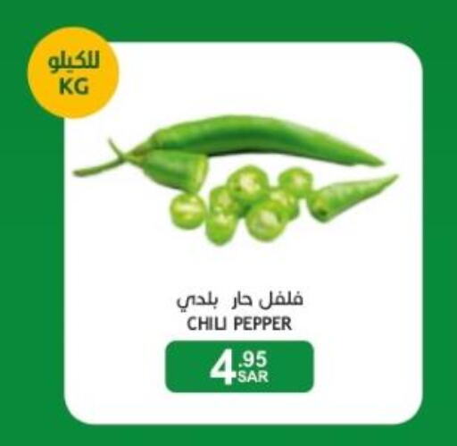  Chilli / Capsicum  in Mazaya in KSA, Saudi Arabia, Saudi - Qatif