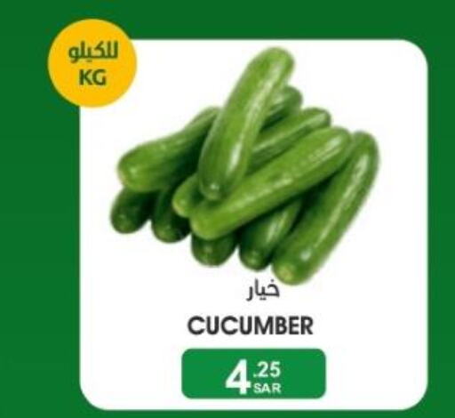  Cucumber  in Mazaya in KSA, Saudi Arabia, Saudi - Qatif
