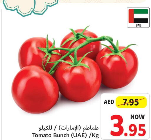  Tomato  in تعاونية أم القيوين in الإمارات العربية المتحدة , الامارات - أم القيوين‎