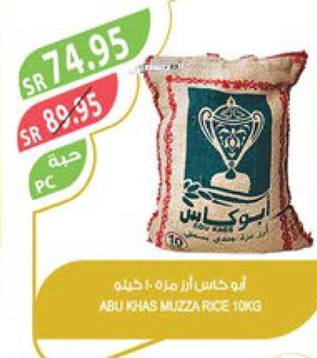  Basmati Rice  in Farm  in KSA, Saudi Arabia, Saudi - Najran