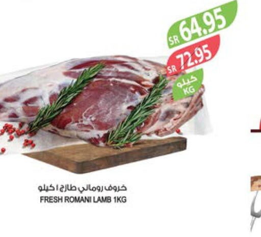  Mutton / Lamb  in المزرعة in مملكة العربية السعودية, السعودية, سعودية - جازان