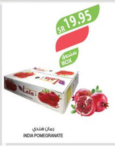  Pomegranate  in المزرعة in مملكة العربية السعودية, السعودية, سعودية - عرعر