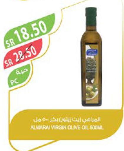 ALMARAI Extra Virgin Olive Oil  in Farm  in KSA, Saudi Arabia, Saudi - Yanbu