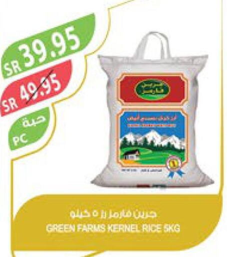  Egyptian / Calrose Rice  in Farm  in KSA, Saudi Arabia, Saudi - Tabuk