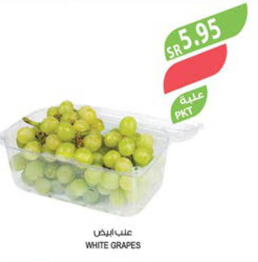  Grapes  in المزرعة in مملكة العربية السعودية, السعودية, سعودية - تبوك