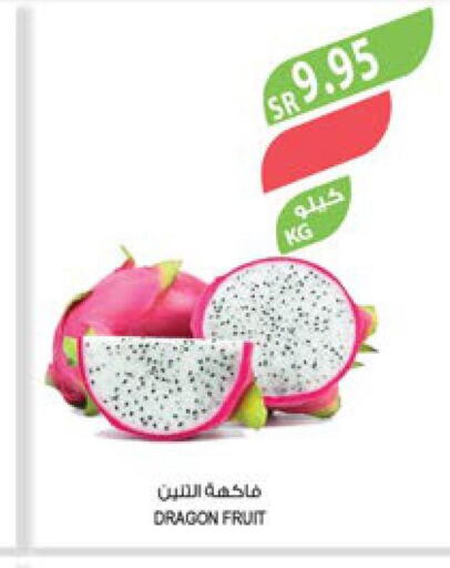  Dragon fruits  in المزرعة in مملكة العربية السعودية, السعودية, سعودية - عرعر