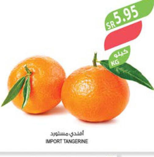  Orange  in Farm  in KSA, Saudi Arabia, Saudi - Najran