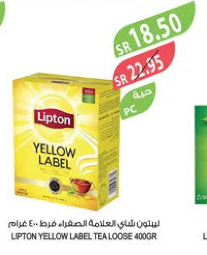 Lipton Tea Powder  in Farm  in KSA, Saudi Arabia, Saudi - Al Hasa