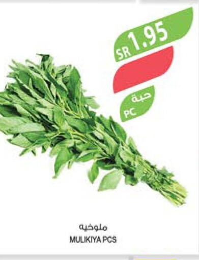  Chilli / Capsicum  in المزرعة in مملكة العربية السعودية, السعودية, سعودية - ينبع