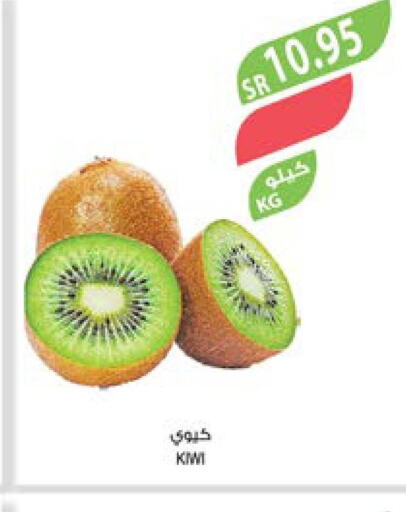  Kiwi  in المزرعة in مملكة العربية السعودية, السعودية, سعودية - عرعر