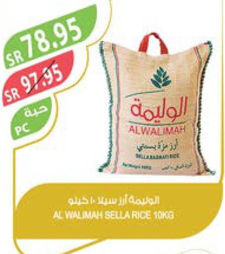  Basmati Rice  in Farm  in KSA, Saudi Arabia, Saudi - Yanbu