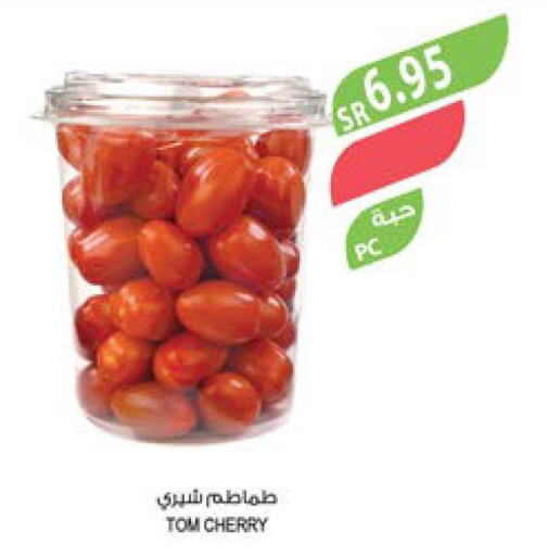  Tomato  in المزرعة in مملكة العربية السعودية, السعودية, سعودية - نجران