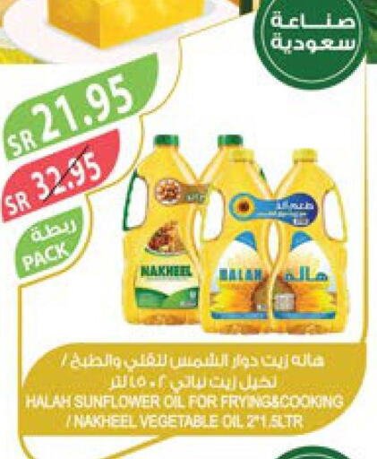 HALAH Sunflower Oil  in Farm  in KSA, Saudi Arabia, Saudi - Tabuk
