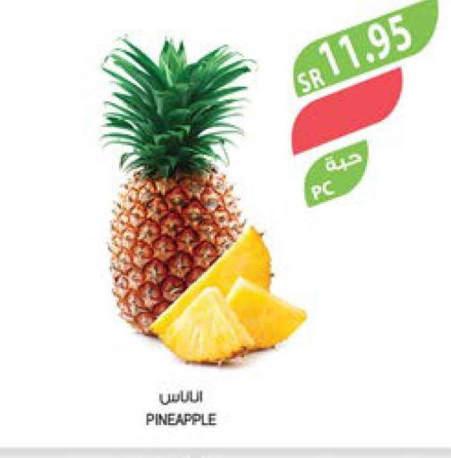  Pineapple  in المزرعة in مملكة العربية السعودية, السعودية, سعودية - جازان