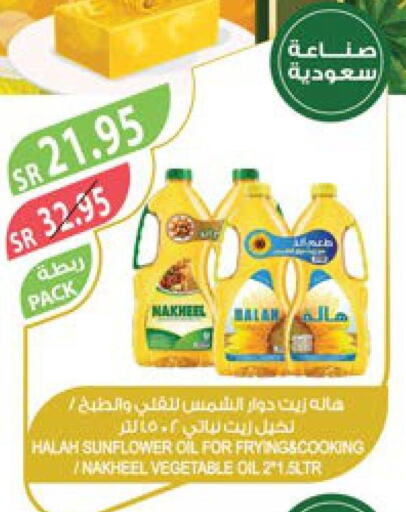 HALAH Sunflower Oil  in Farm  in KSA, Saudi Arabia, Saudi - Qatif