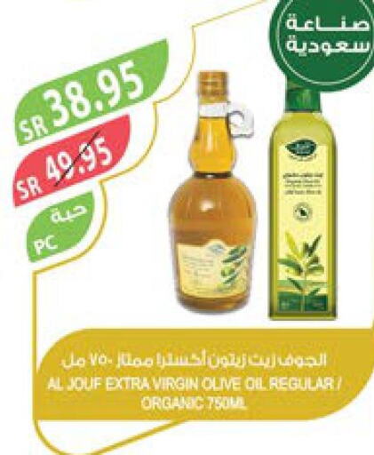 Extra Virgin Olive Oil  in Farm  in KSA, Saudi Arabia, Saudi - Yanbu