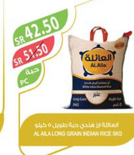  Egyptian / Calrose Rice  in Farm  in KSA, Saudi Arabia, Saudi - Qatif