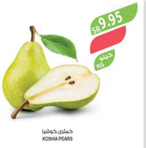  Apples  in Farm  in KSA, Saudi Arabia, Saudi - Jazan