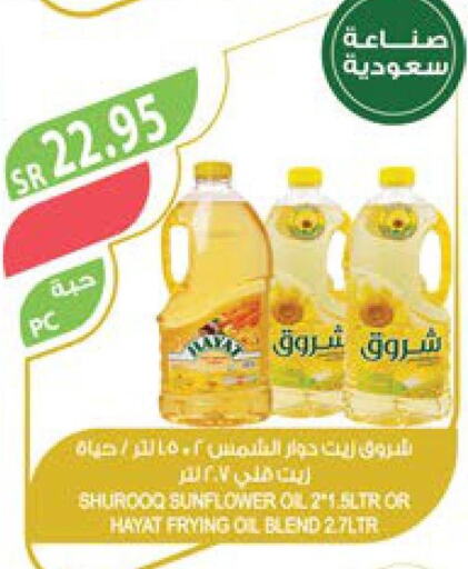 SHUROOQ Sunflower Oil  in Farm  in KSA, Saudi Arabia, Saudi - Najran