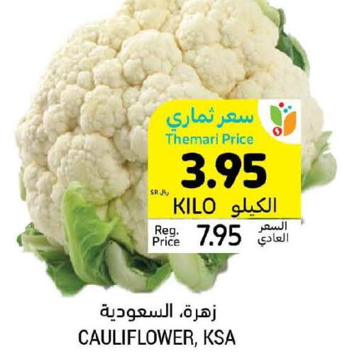  Cauliflower  in أسواق التميمي in مملكة العربية السعودية, السعودية, سعودية - عنيزة