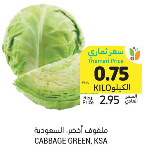  Cabbage  in أسواق التميمي in مملكة العربية السعودية, السعودية, سعودية - عنيزة