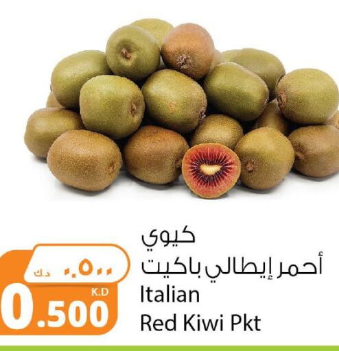  Kiwi  in شركة المنتجات الزراعية الغذائية in الكويت - محافظة الجهراء
