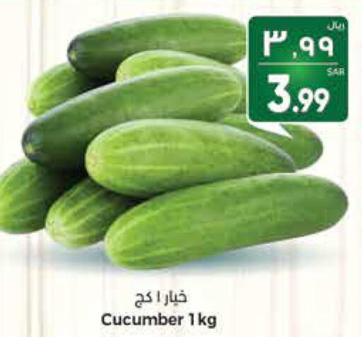 Cucumber  in ستي فلاور in مملكة العربية السعودية, السعودية, سعودية - سكاكا