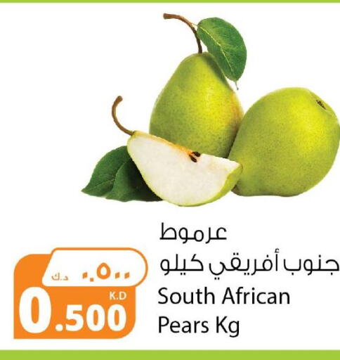  Apples  in شركة المنتجات الزراعية الغذائية in الكويت - محافظة الجهراء
