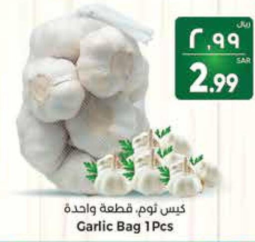  Garlic  in ستي فلاور in مملكة العربية السعودية, السعودية, سعودية - سكاكا
