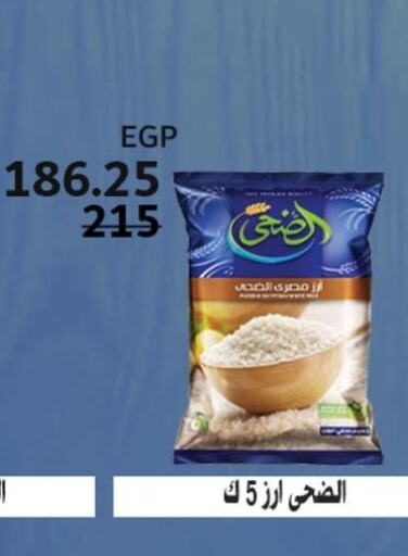  Egyptian / Calrose Rice  in Fathalla Market  in Egypt - Cairo