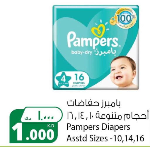 Pampers   in شركة المنتجات الزراعية الغذائية in الكويت - محافظة الجهراء