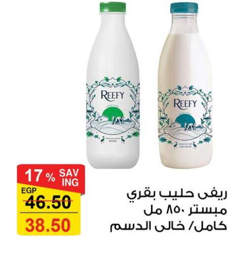 ALMARAI Long Life / UHT Milk  in فتح الله in Egypt - القاهرة