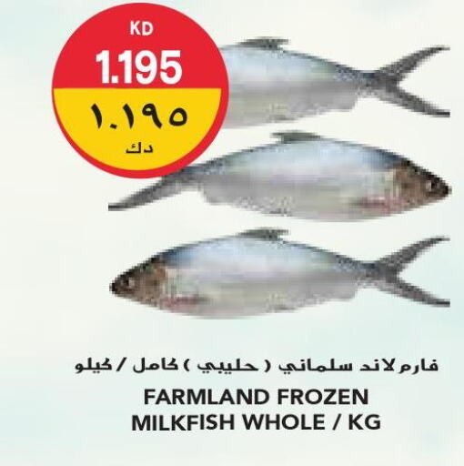 Fresh Fish offers in Kuwait - Kuwait City