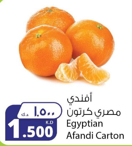  Orange  in Agricultural Food Products Co. in Kuwait - Jahra Governorate