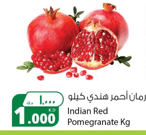  Pomegranate  in شركة المنتجات الزراعية الغذائية in الكويت - محافظة الجهراء