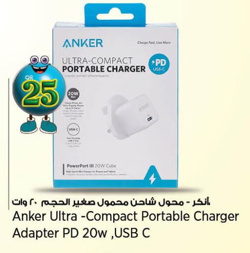 Anker Charger  in New Indian Supermarket in Qatar - Al Daayen
