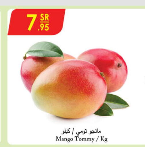 Mango   in الدانوب in مملكة العربية السعودية, السعودية, سعودية - مكة المكرمة