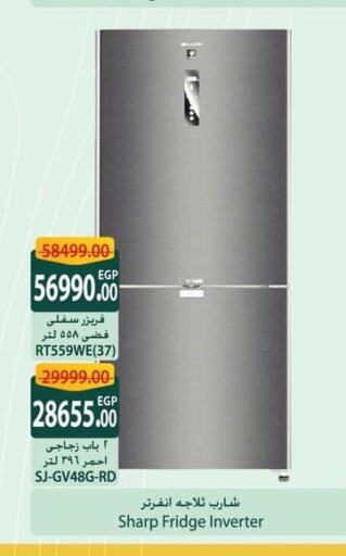 SHARP Refrigerator  in Spinneys  in Egypt - Cairo