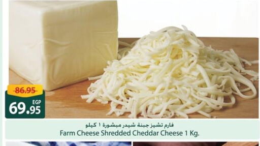  Cheddar Cheese  in سبينس in Egypt - القاهرة