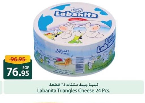  Triangle Cheese  in سبينس in Egypt - القاهرة