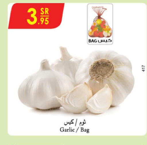  Garlic  in الدانوب in مملكة العربية السعودية, السعودية, سعودية - مكة المكرمة