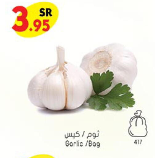  Garlic  in Bin Dawood in KSA, Saudi Arabia, Saudi - Mecca