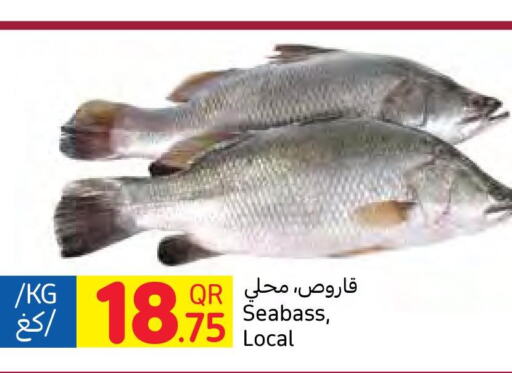  King Fish  in Carrefour in Qatar - Al Khor