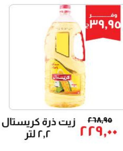  Corn Oil  in خير زمان in Egypt - القاهرة