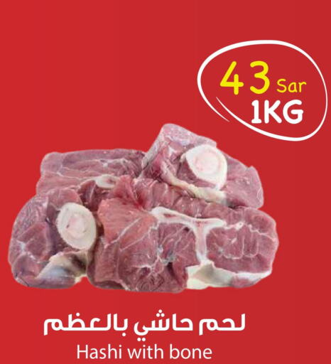  Camel meat  in واحة المستهلك in مملكة العربية السعودية, السعودية, سعودية - الخبر‎