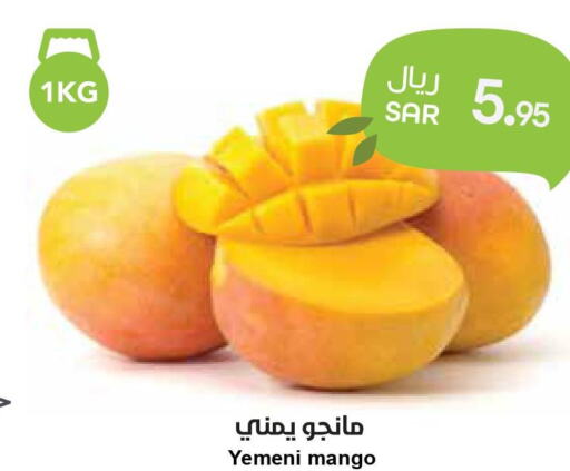 Mango   in Consumer Oasis in KSA, Saudi Arabia, Saudi - Riyadh