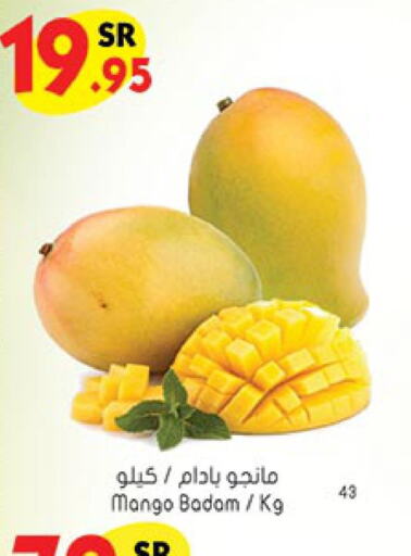 Mango   in بن داود in مملكة العربية السعودية, السعودية, سعودية - خميس مشيط