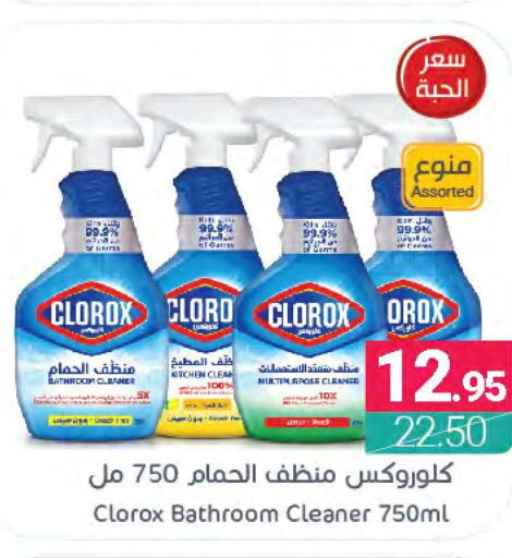 CLOROX Toilet / Drain Cleaner  in اسواق المنتزه in مملكة العربية السعودية, السعودية, سعودية - القطيف‎